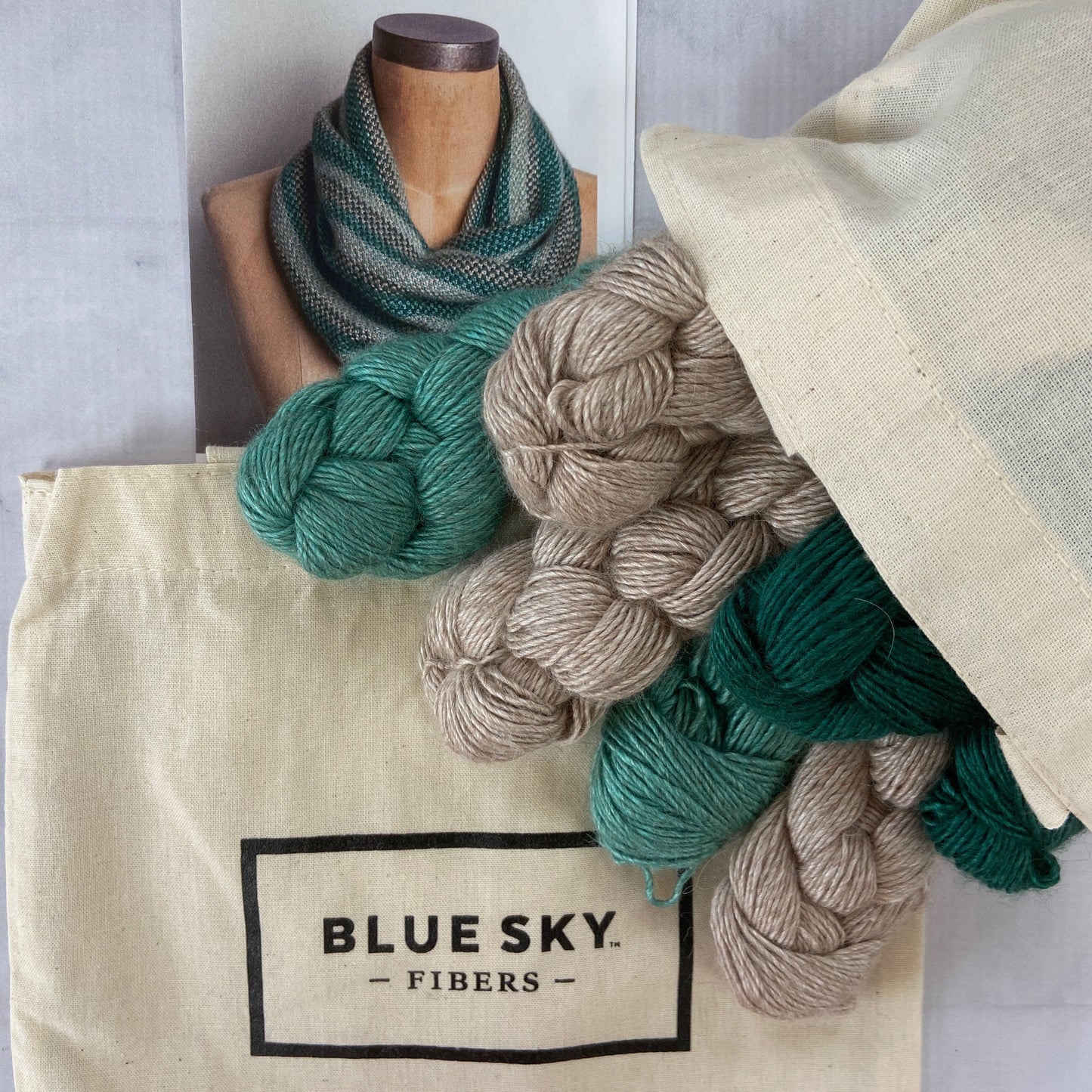 Blue Sky Fibers | Lexington Cowl Kit - Skeins