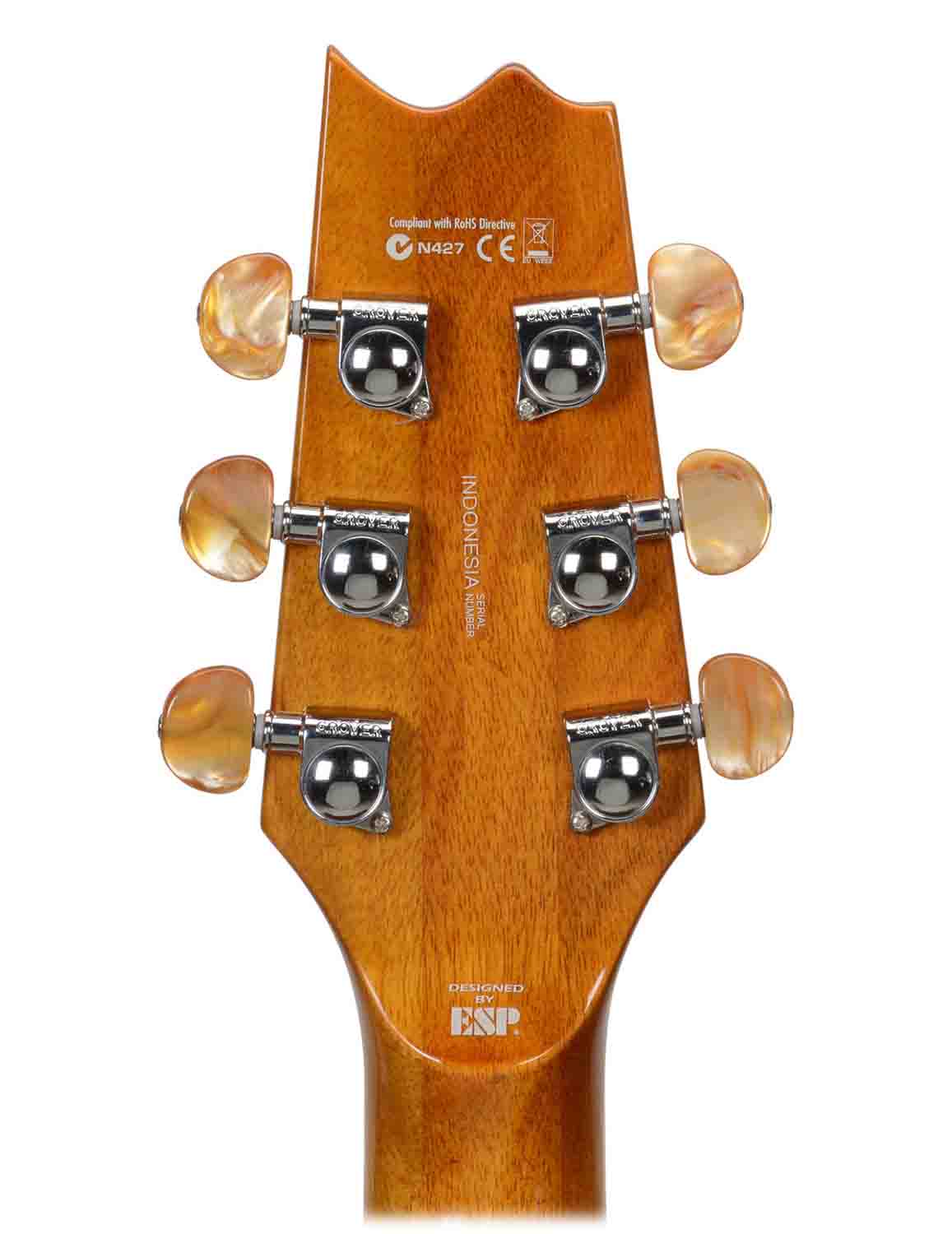 ESP LTD Thinline Series TL-6 Acoustic/Electric Guitar - Natural Gloss - Hollywood DJ