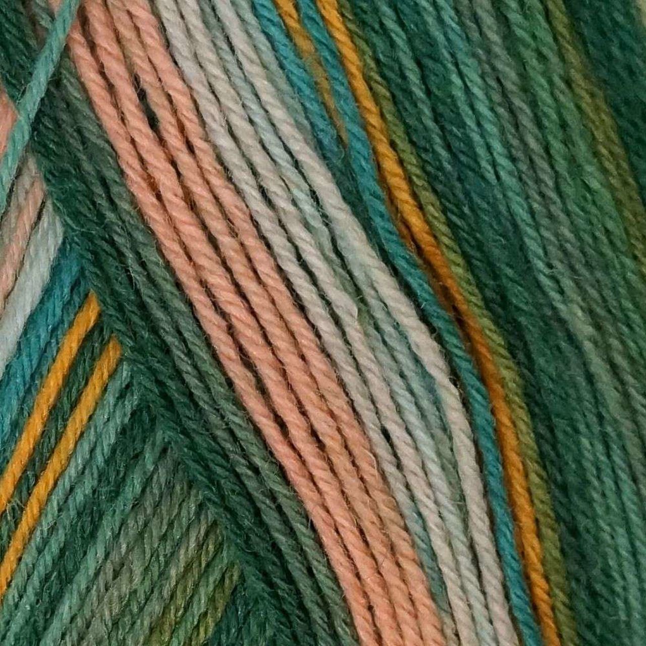 Zitron Trekking XXL Wool Nylon Knitting Yarn
