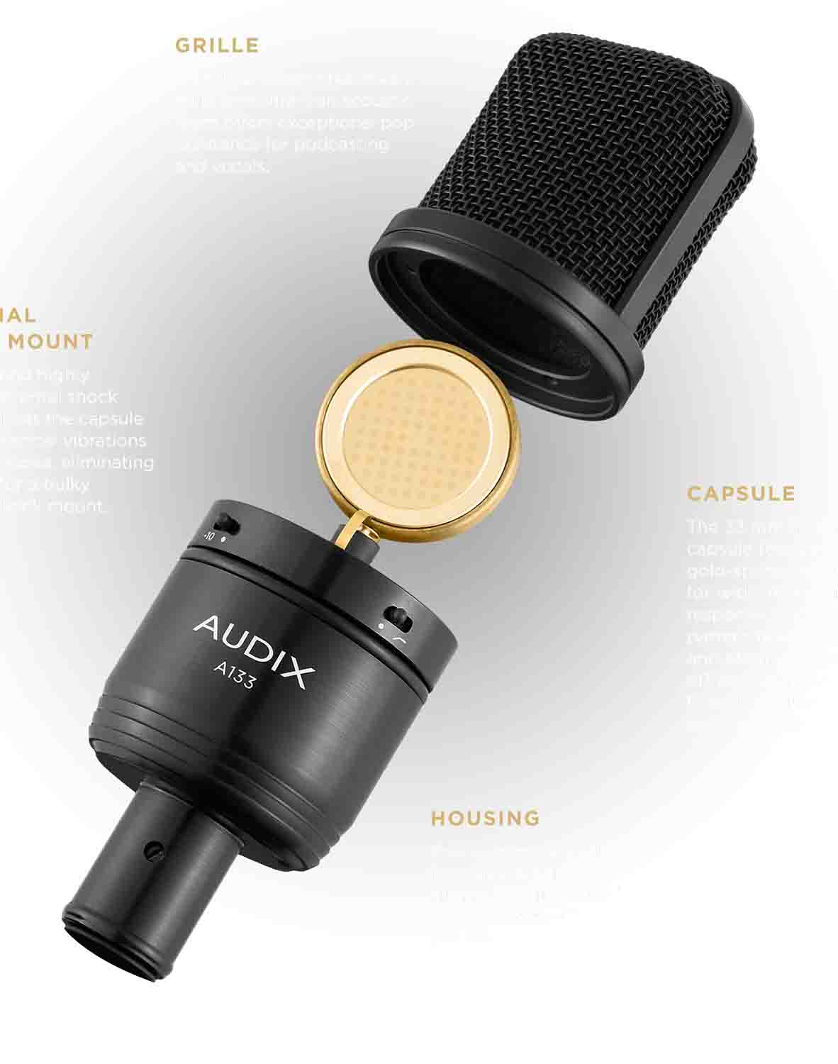 Audix A133 Large Diaphragm Cardioid Condenser Microphone - Hollywood DJ