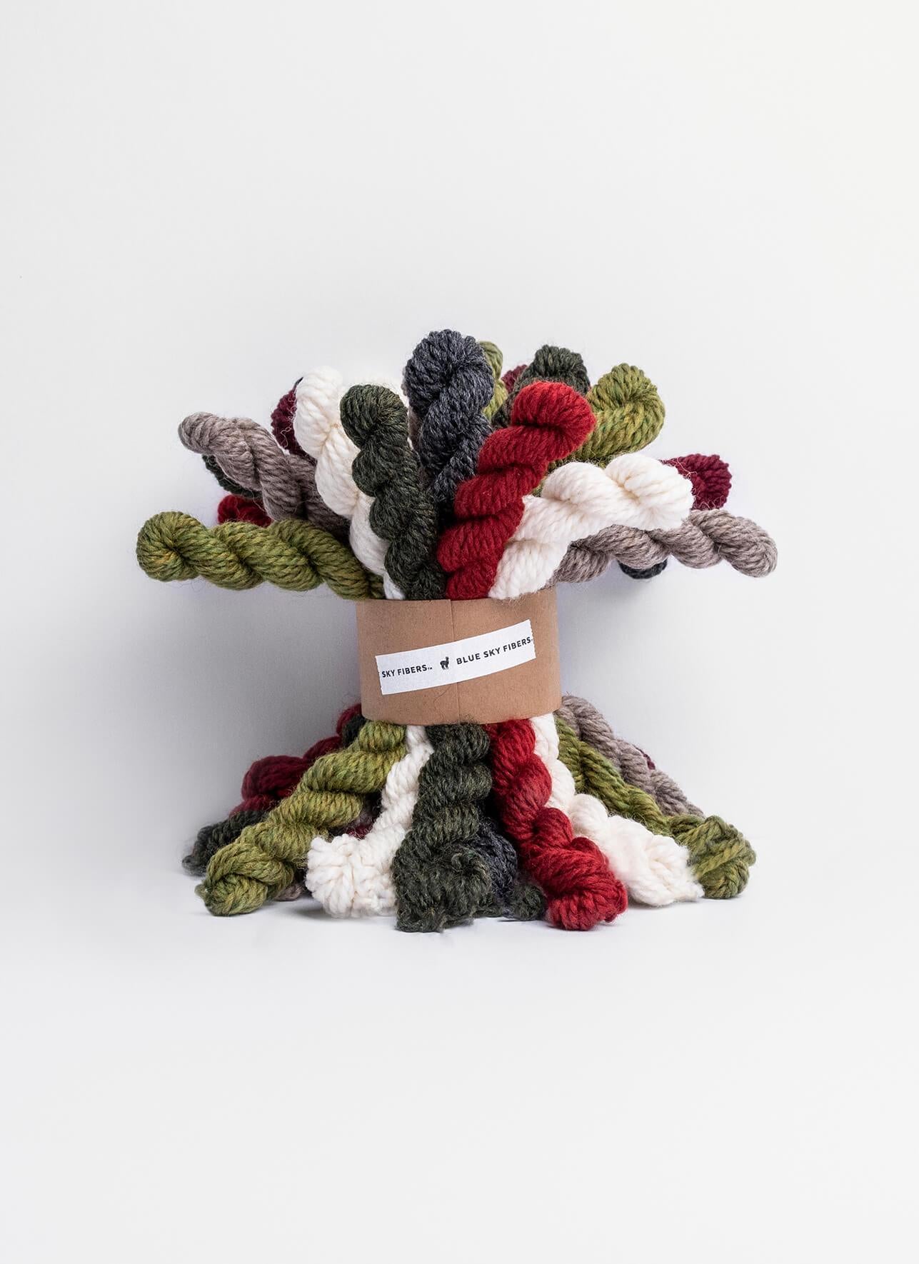 Blue Sky Fibers Woolstok Bundle Kit