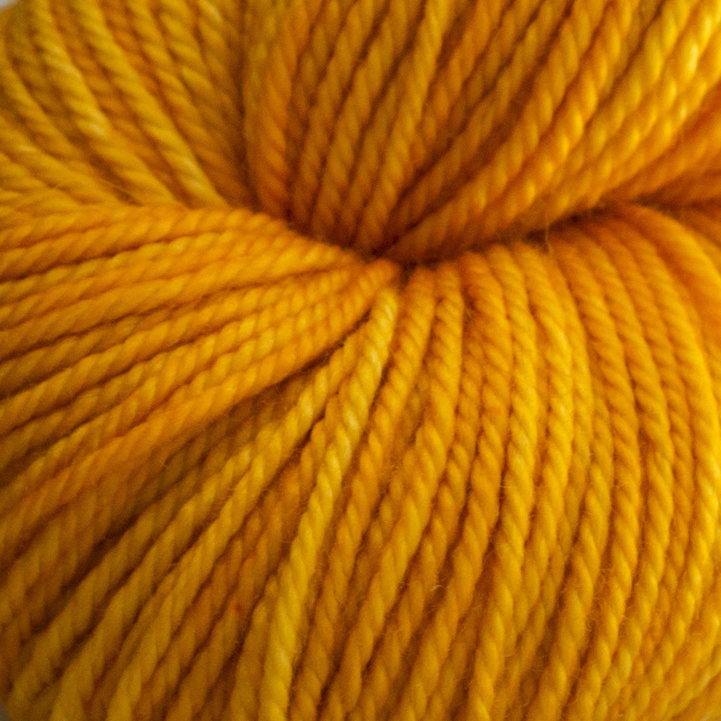 Anzula Cricket Yarn