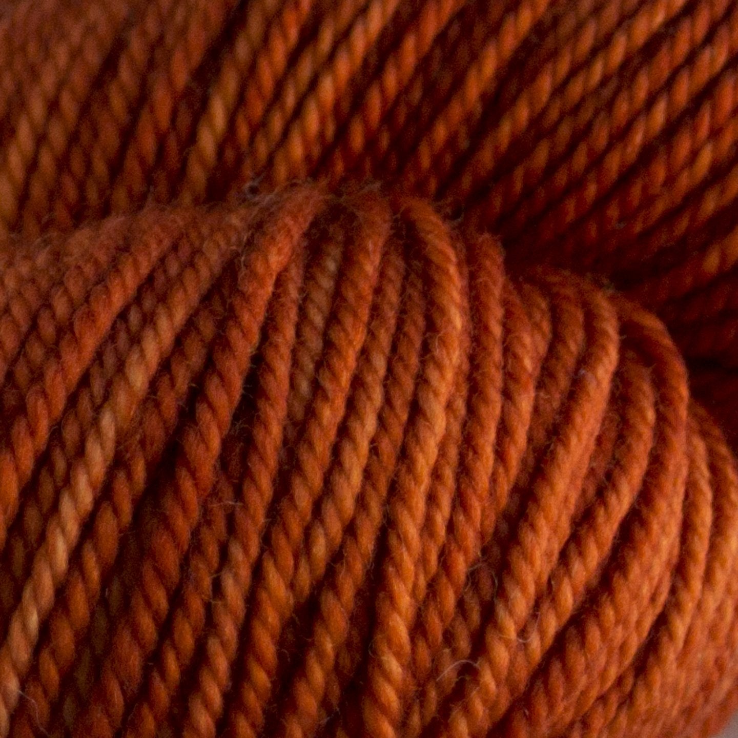 Anzula Cricket Yarn