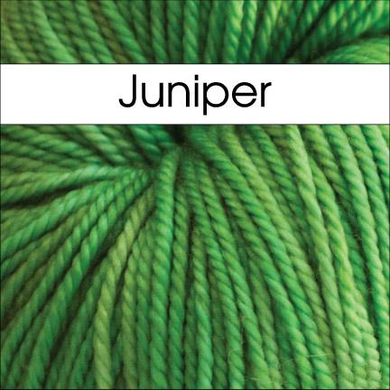 Anzula Squishy Yarn in Juniper - Fillory Yarn