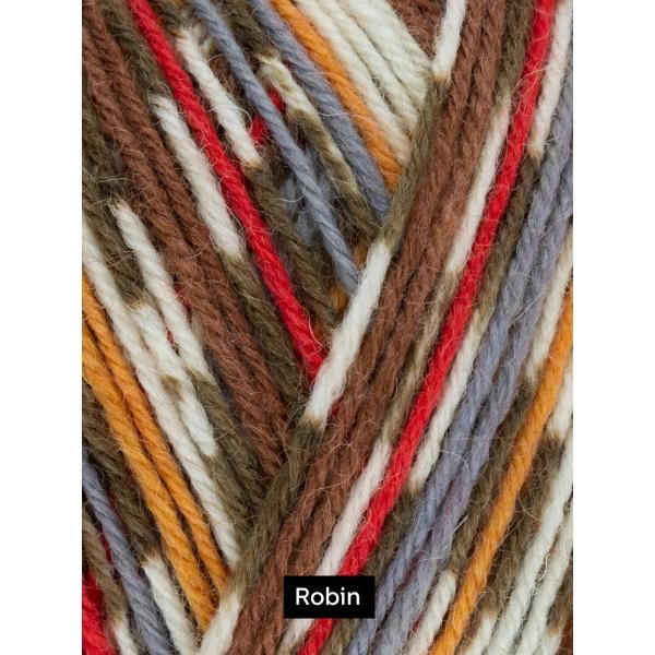West Yorkshire Spinners Signature 4-Ply - Christmas 2020 Wool Nylon Knitting Yarn