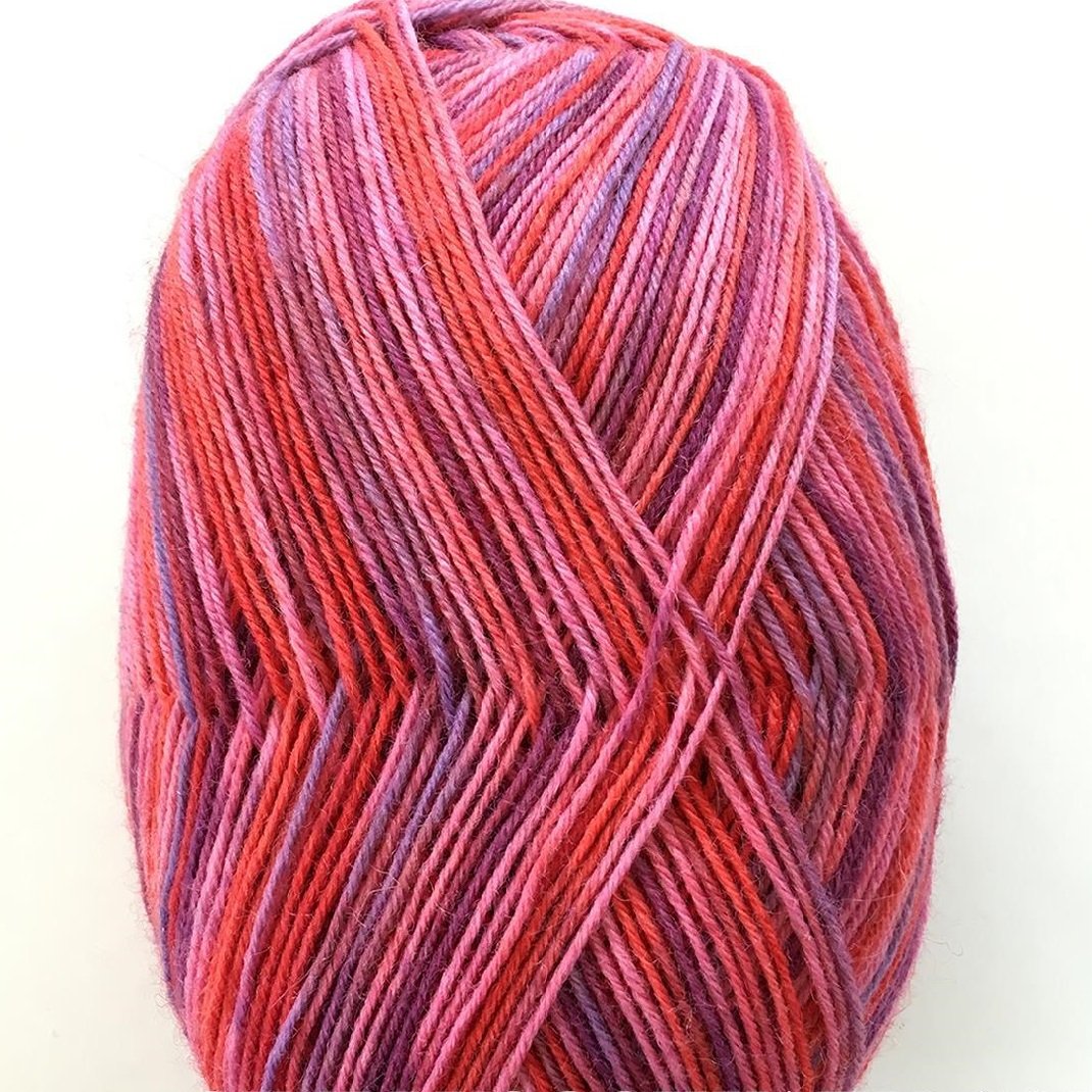 Zitron Trekking XXL Wool Nylon Knitting Yarn