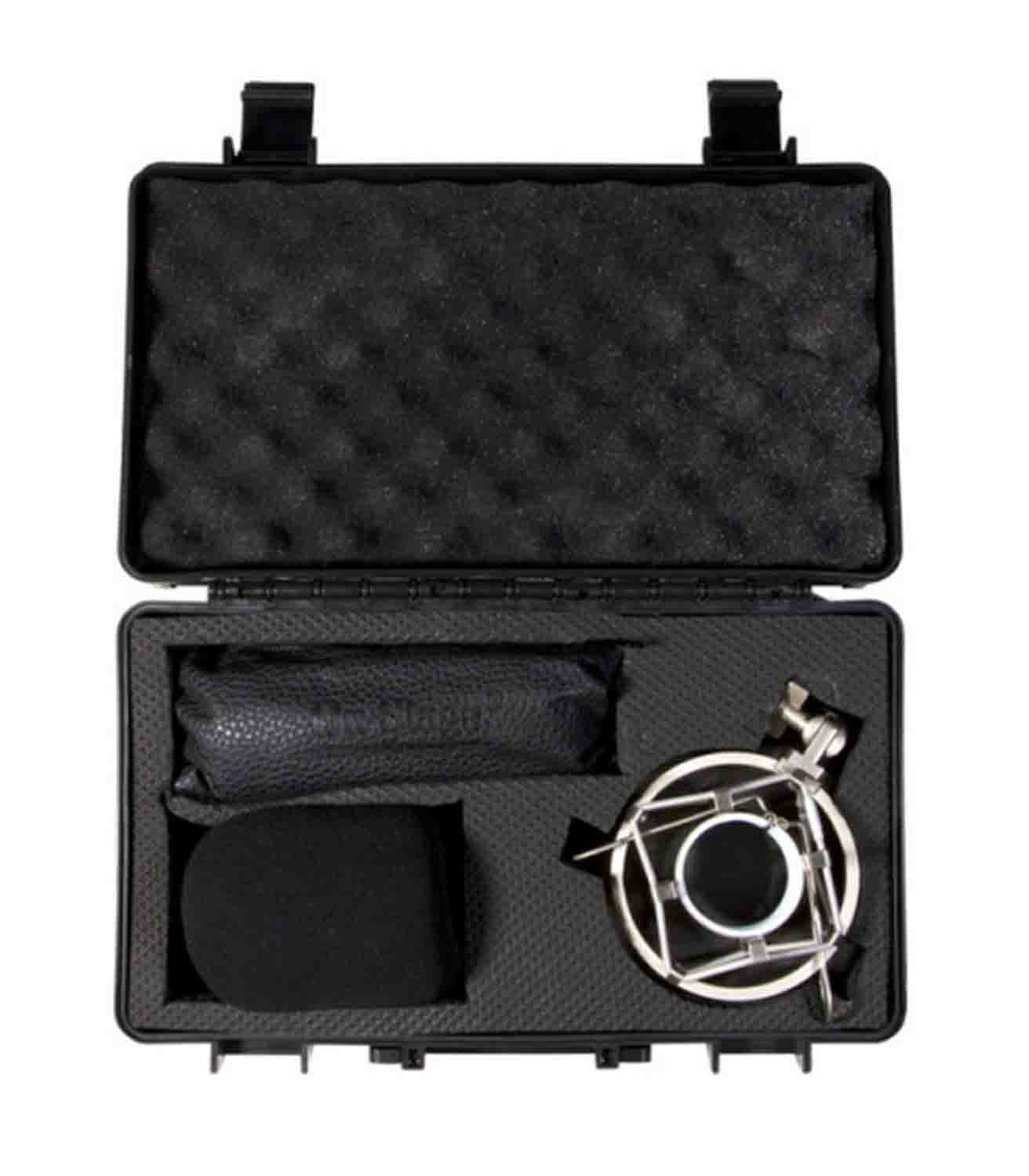 Onstage AS800 Large-Diaphragm Cardioid Condenser Microphone with Shock mount - Hollywood DJ