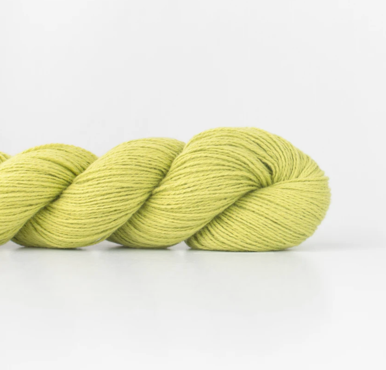 Fern Yarn | Shibui Yarn - Grape Green