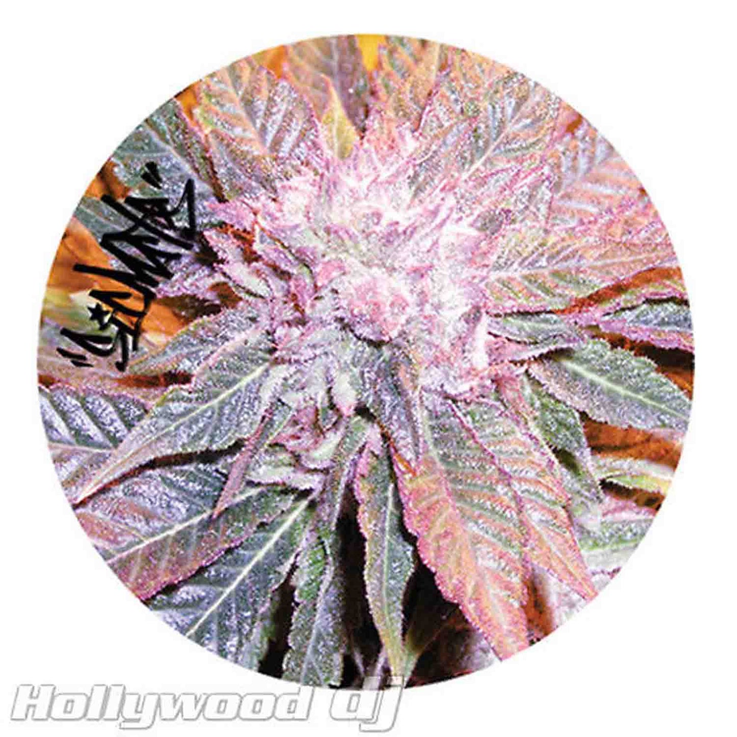 Sicmats DJ Turntable Slipmats 'KUSH' Sic Mats Slip Mat Set Scratch Pad Rare - Pair - Hollywood DJ