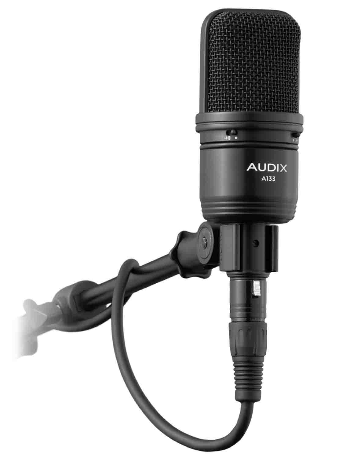 Audix A133 Large Diaphragm Cardioid Condenser Microphone - Hollywood DJ
